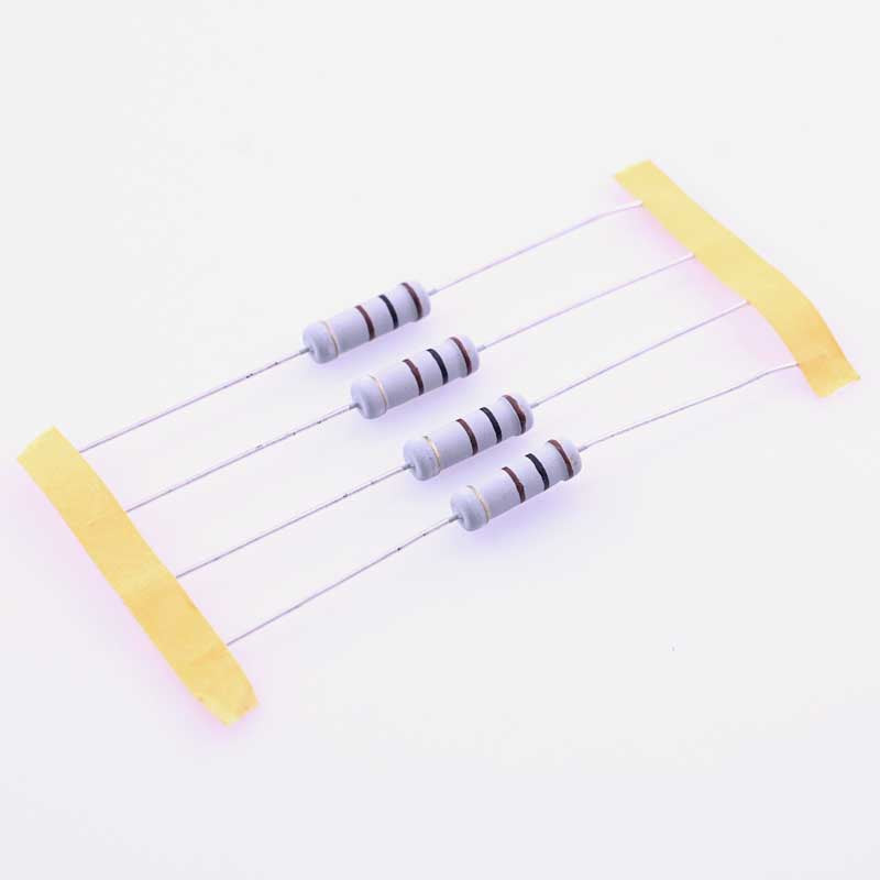 100 Ohm 2 Watt Resistor (Pack of 4)