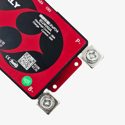 DALY LiFePo4 8S 24V 60A Smart Waterproof Battery Management System Common port with Balance- BMS Protection Board