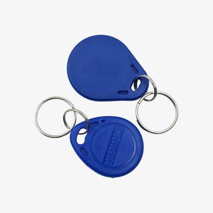 EM4100 125khz RFID Key Fob (RFID Tag)