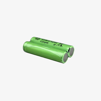 Ni-MH AAA 700mAh 1.2v Rechargeable Cell for Toys, Remote, DIY (Pack of 2)