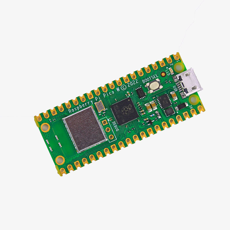 Raspberry Pi Pico W Original