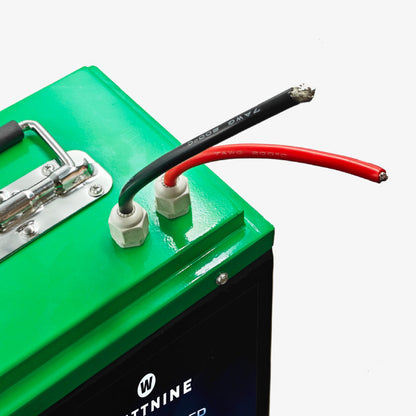 WATTNINE® 12V 100Ah Lithium LiFePO4 Battery Pack Prismatic Cell for Solar or Inverter
